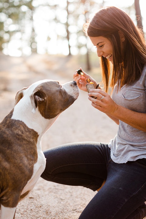 CBD oils, topicals, & products for pets - CBD benefits