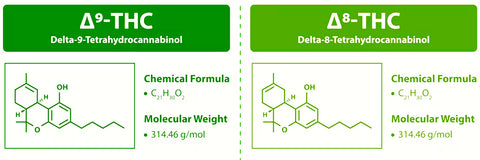 Delta-8 vs Delta-9